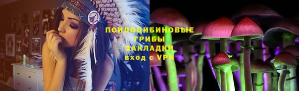 дживик Алексин